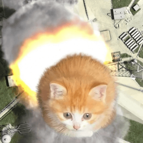 ATHCAT